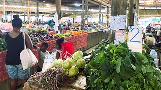 ローカルな生活が感じられる雰囲気
