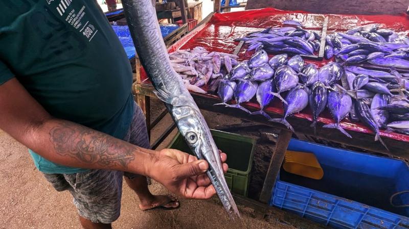 鋭い歯を見せてくれました