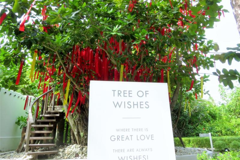 Tree of Wishes。この木に願い事を書くと年に1回1組に年末年始のビジネスクラスでマーレまでの往復航空券とホテル滞在をプレゼントしているのだそう！