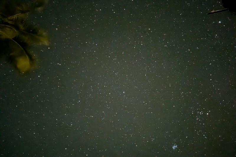 夜には満天の星が広がっていました！