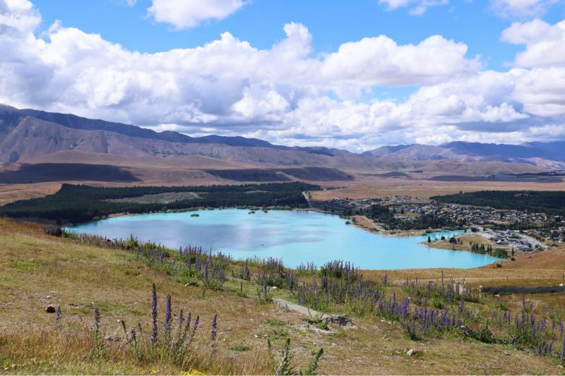 マウントジョンからのテカポ湖の景色。空気が綺麗でした！