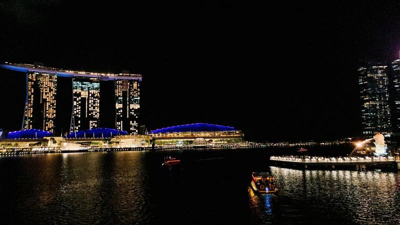 シンガポールの夜景は下からでも抜群にキレイ♪