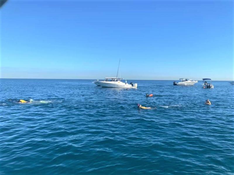 イルカの出現に他のグループのボートも集まっています