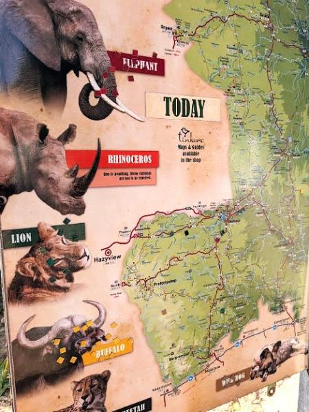 ドライバーは興味深く動物マップをチェック