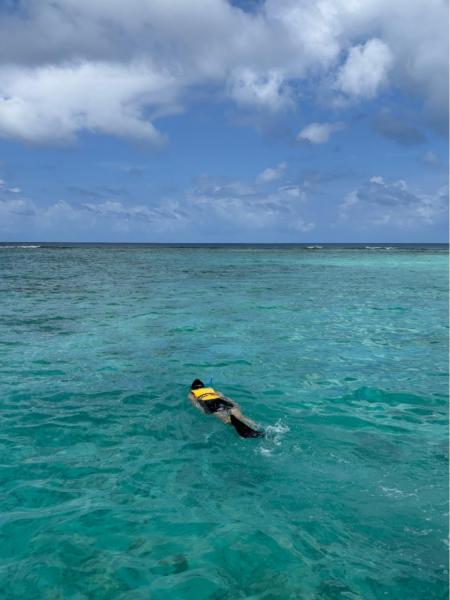 暇さえあれば、部屋のプールか目の前の海でシュノーケリングをする毎日
