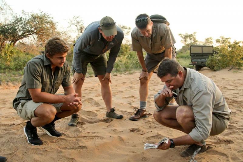 ガイド付きウォーキングサファリ
