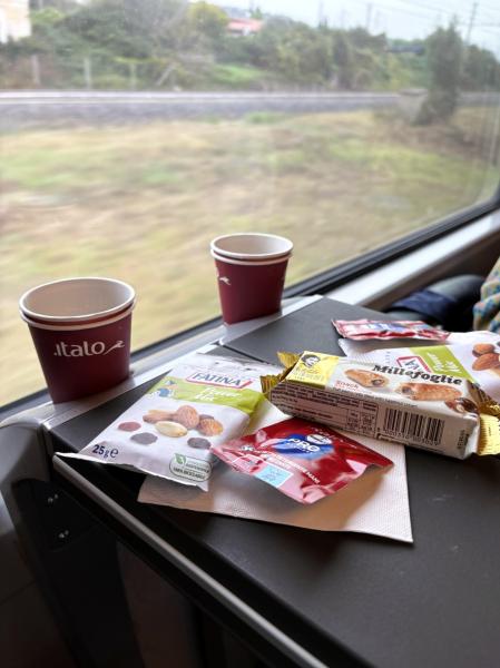 ローマ～フィレンツェ間のイタロも快適でした！