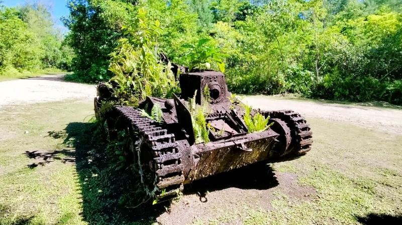当時の戦車に新たな命が芽吹いているのが感動でした