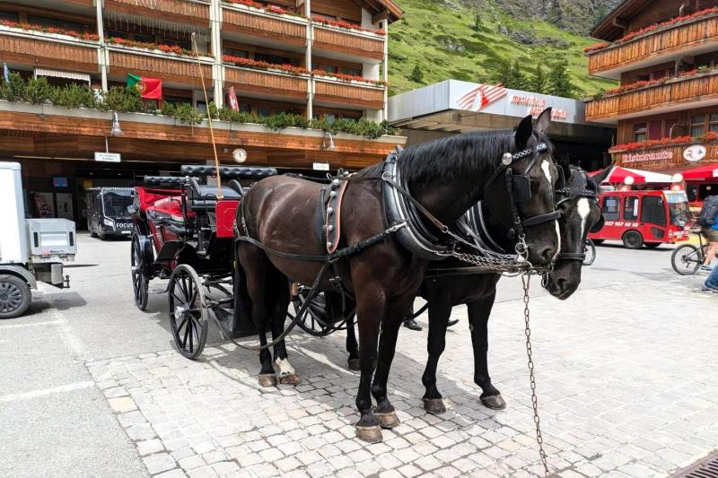 ツェルマットに着いてすぐ目に飛び込んできた馬車にびっくりしました