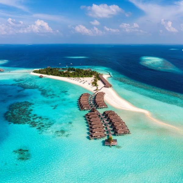 ■開催日程：2025年11月29日（土）14:00〜16:00（開場 13:45）※前半の約1時間は説明会、後半は受付順で個別相談会を行います（1組約15～20分を予定）。■会場：札幌市営地下鉄・大通駅から徒歩約1分※詳細は参加確定メールにてご案内いたします。■募集人数：10組様限定