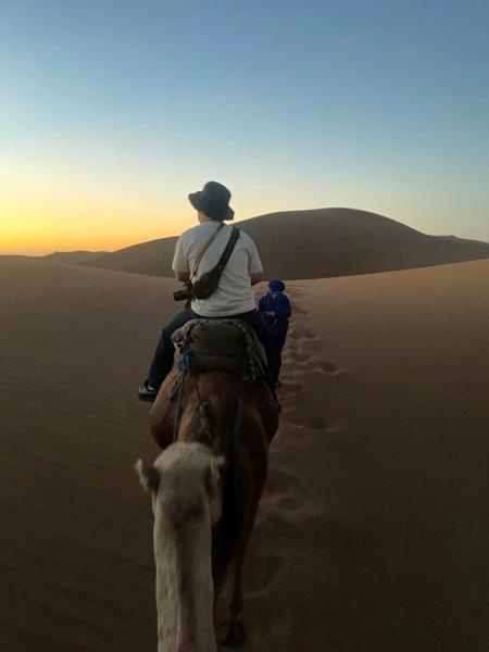 砂漠でのラクダ乗り体験