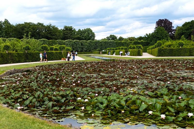 入口から宮殿に続く道の途中の睡蓮池