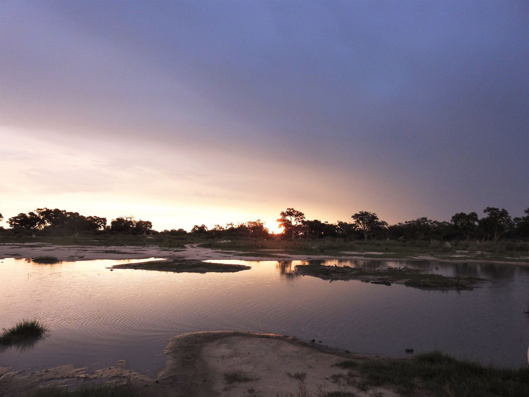Okavango Delta REPORT|オカバンゴデルタ 視察ブログ