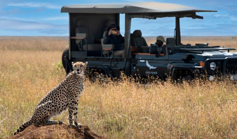 サファリドライブ