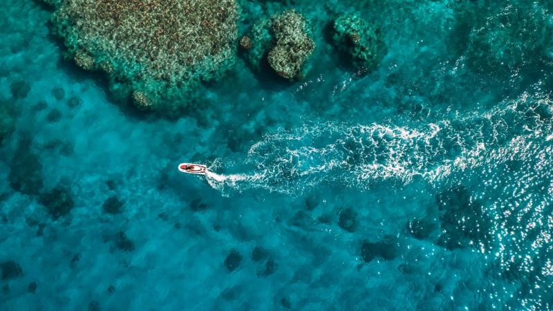 アクティビティ