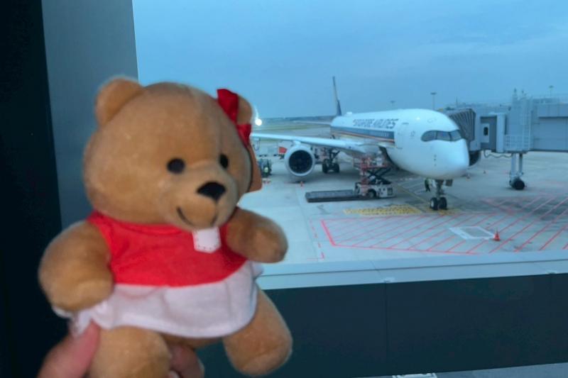シンガポール到着。シンガポール航空からもらったテディベアとジェット機