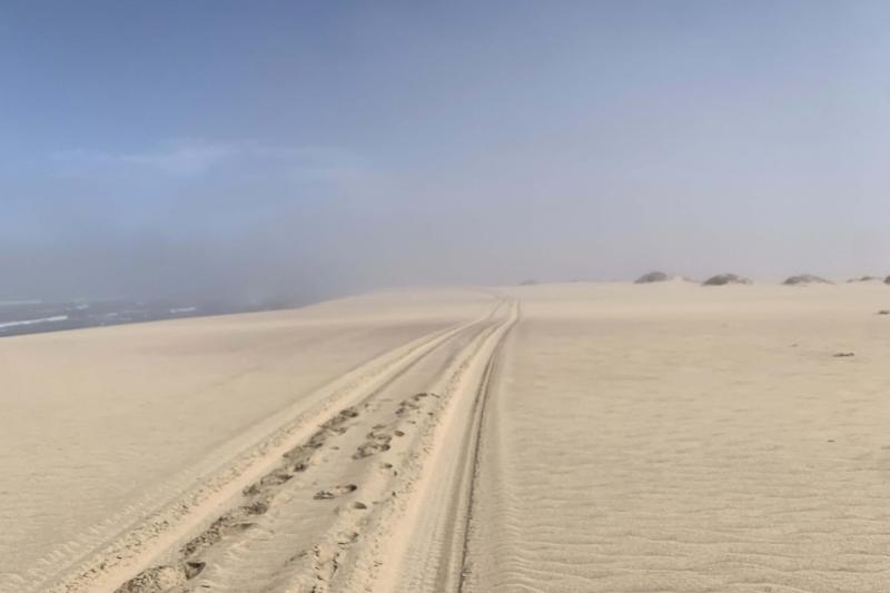 霧がかかった砂漠地帯。このエリアは霧が濃いのが特徴です