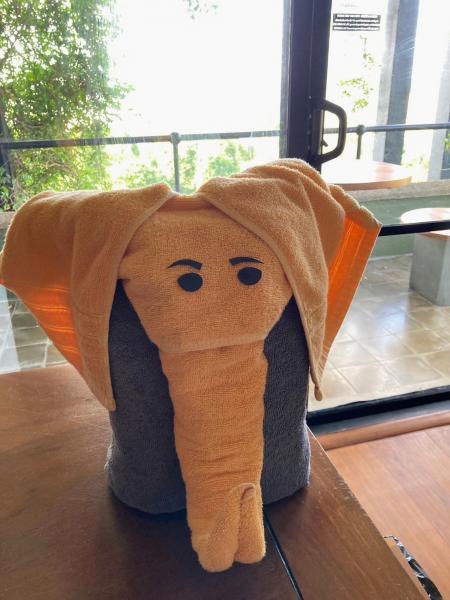 タオルで作られたゾウ（ヘリタンス カンダラマ）