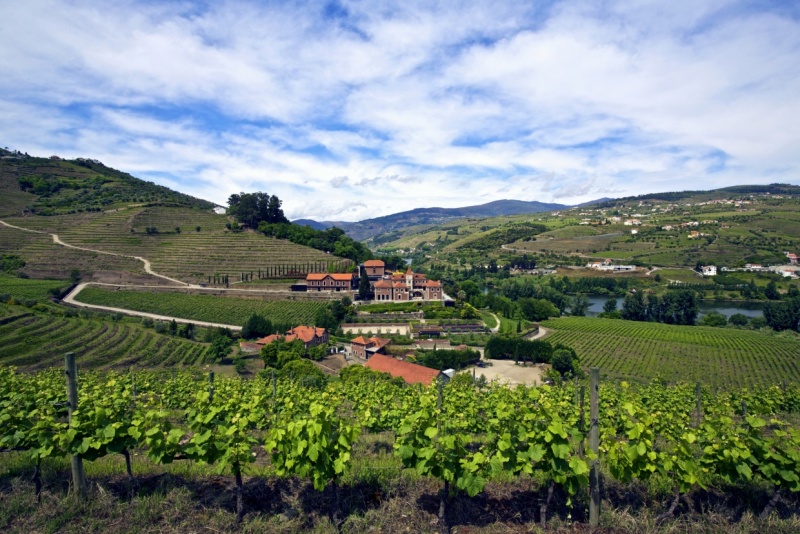 Douro Valley HOTEL|ドウロ渓谷 ホテル