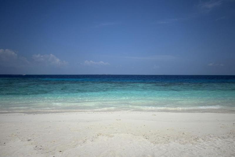 美しい海でシュノーケリング