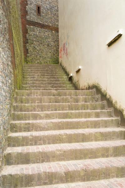 断崖には階段がございますので、こちらの階段をひたすら登ります