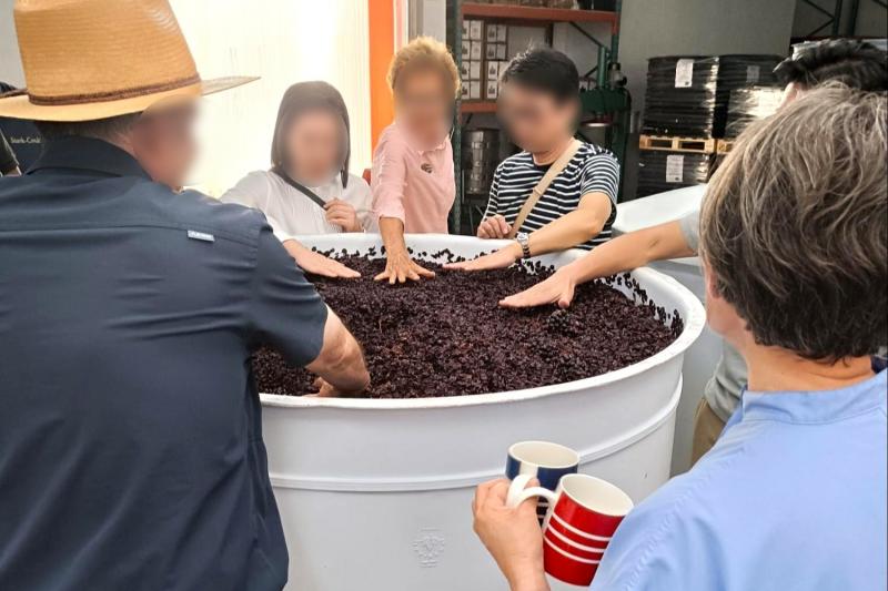 タイミングが良く、ぶどうジュースの状態を飲ませていただきました