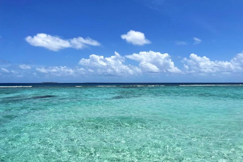 オーシャンサイドのお部屋からの眺め。泳げる距離ではありませんが、遠くに海の色が変わり深くなるところがあります