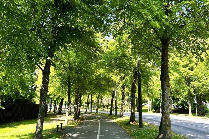 ヨーテボリの緑道 