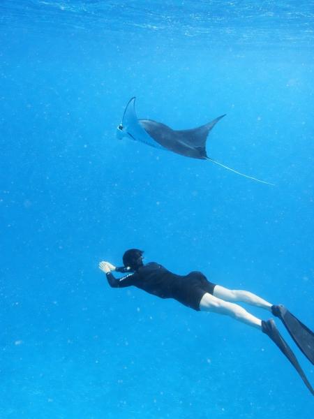 マンタクエスト