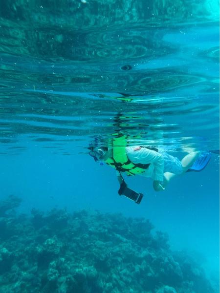 シュノーケリングで、色とりどりの魚に夢中になる旦那さん