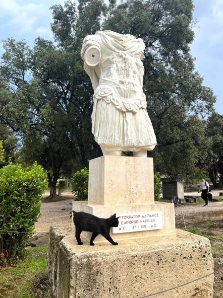 古代アゴラの敷地内の猫（アテネ）