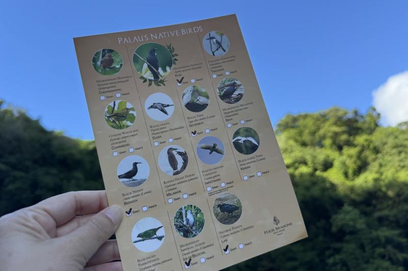 鳥の写真や名前の載ったチェックシート
