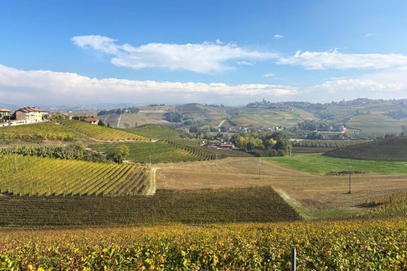 バローロのワイナリーからの景色。見渡す限りのブドウ畑