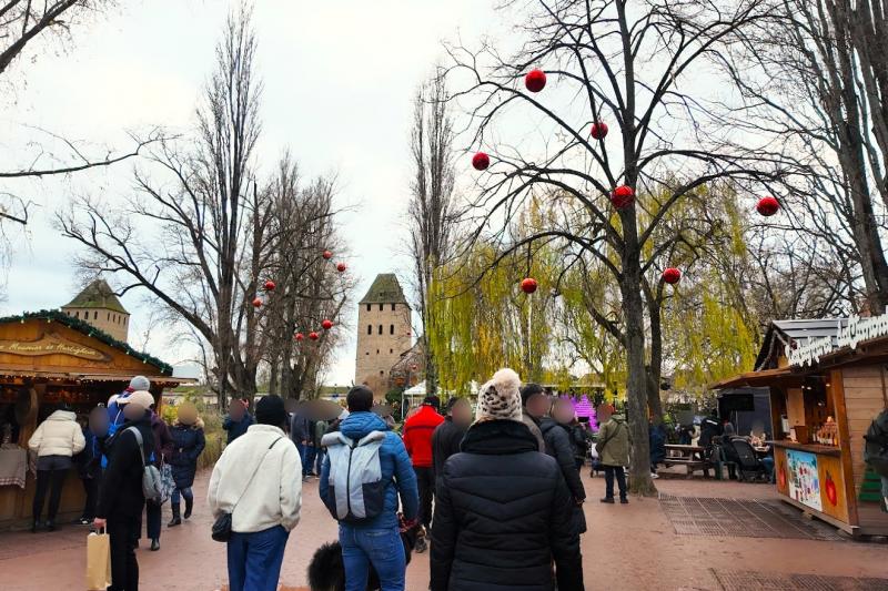 プティット フランスにある会場は、人混みも少なくゆっくり散策ができます