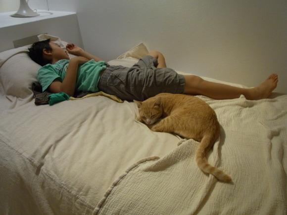 大人がタイ古式マッサージ中、ぼくはネコと昼寝。いいな～