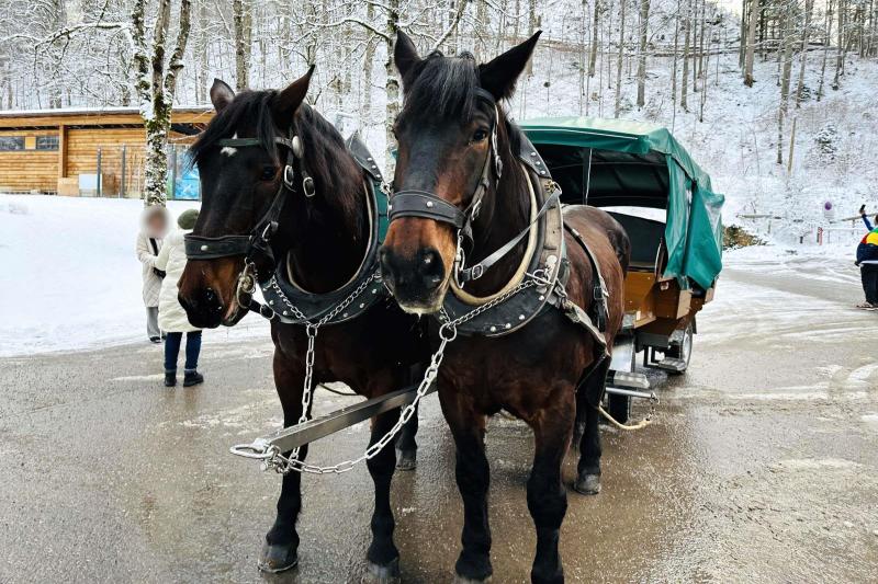ノイシュバンシュタイン城の馬車（ドイツ）