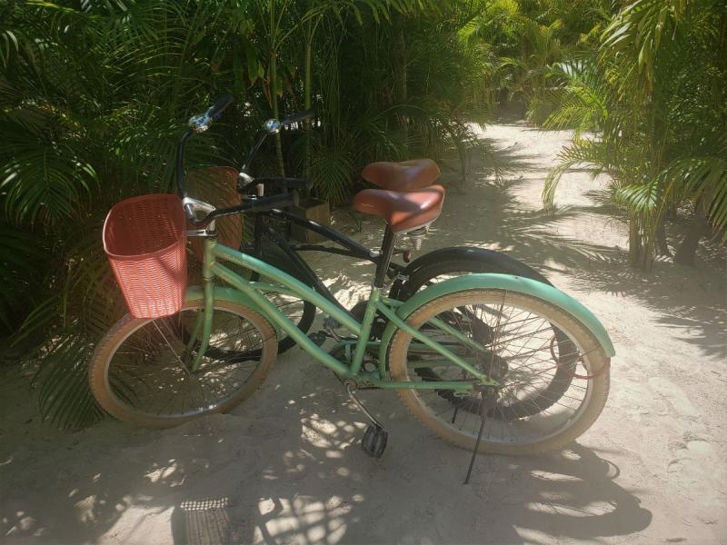 リゾート内では自転車を貸し出しています。トゥルム観光には自転車が必須です