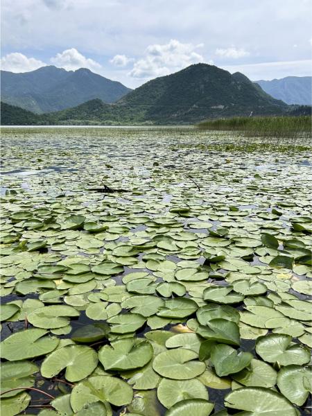 シュコダル湖