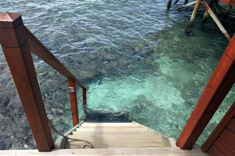 海に降りる階段からはすぐに珊瑚が見えます！
