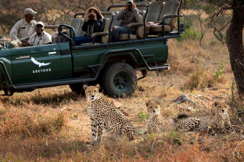 ゲームドライブ