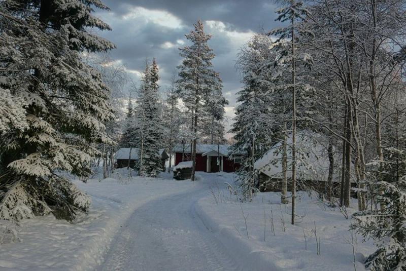 ファームステイ先のヴィザトゥパ。滞在中はぜひフィンランド式の本格サウナを体験してください（Photo by：Visatupa）