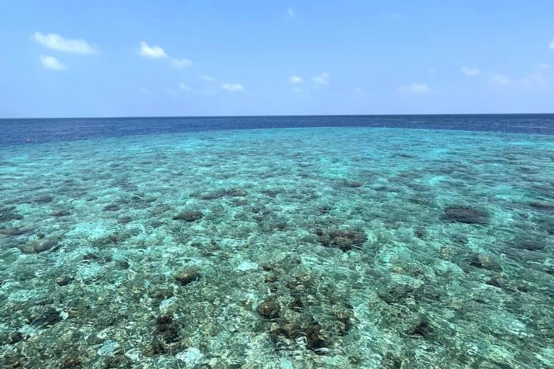 泳いでいる魚が見えるほど透明で透き通った海は絶景です！