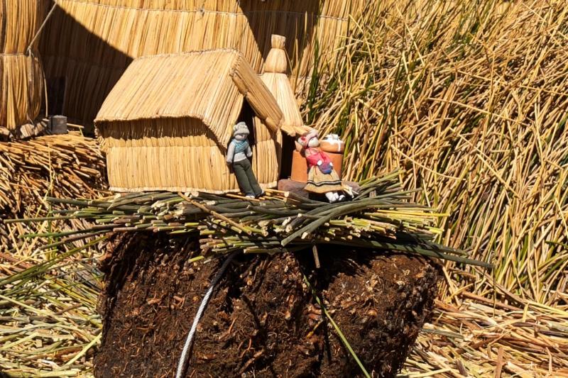 この上に家を建てて生活しております