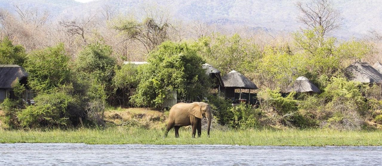 Lower Zambezi National Park HOTEL|ロウワーザンベジ国立公園 ホテル