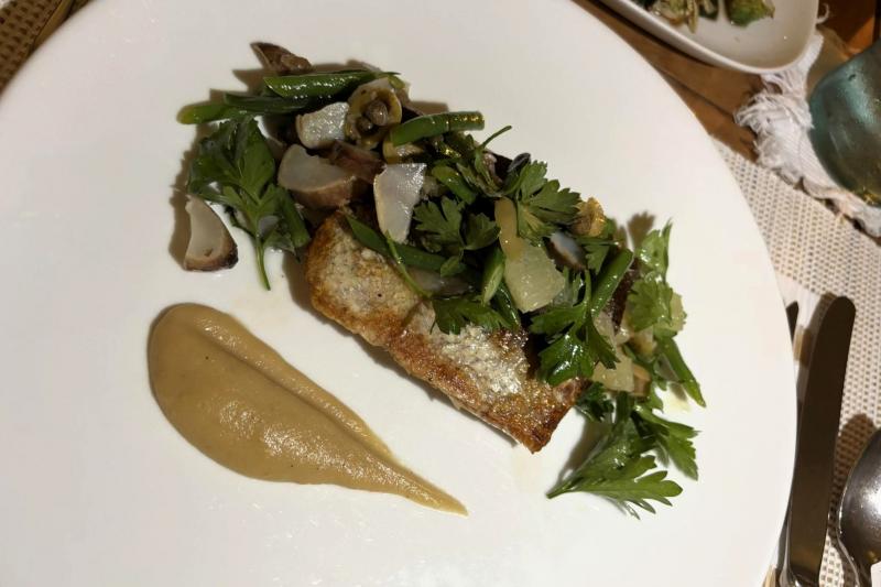 レストランの方おすすめのキハダマグロ