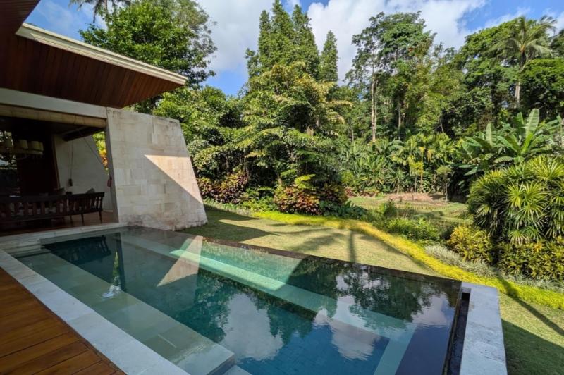 あまりにも大きいプランジプール