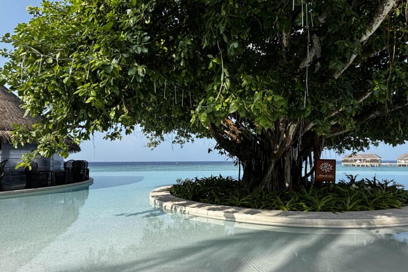 インフィニティプール。美しい海とプールが一体化していてきれいでした！