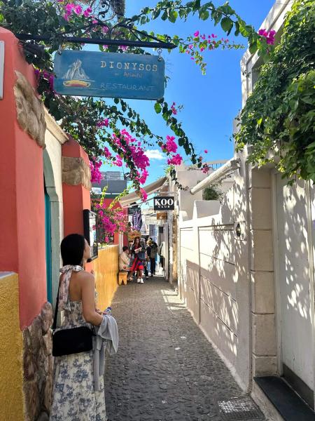 サントリーニは街歩きしているだけで絵になる景色がいっぱい見れました