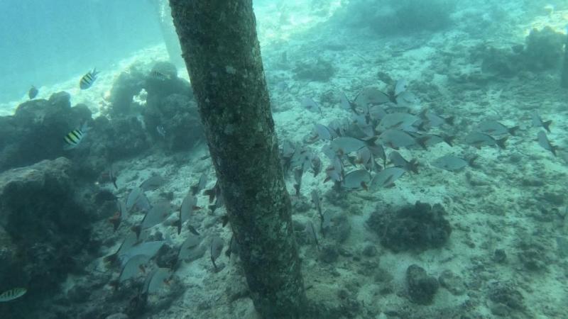 部屋から降りてすぐの海