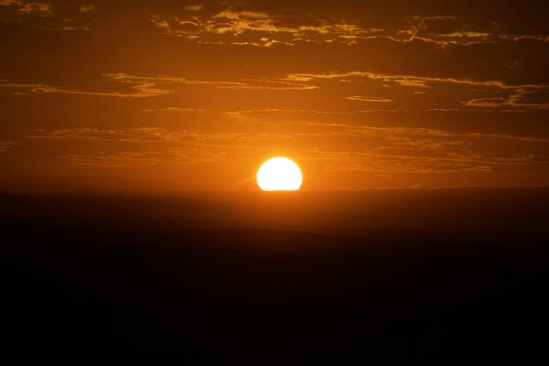 サバンナの夕日
